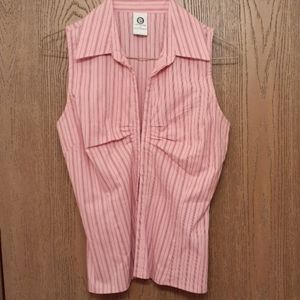 Pink striped blouse